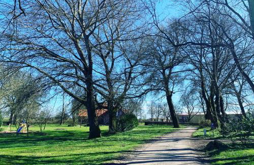 Gutshof Rothensande - Foto 12