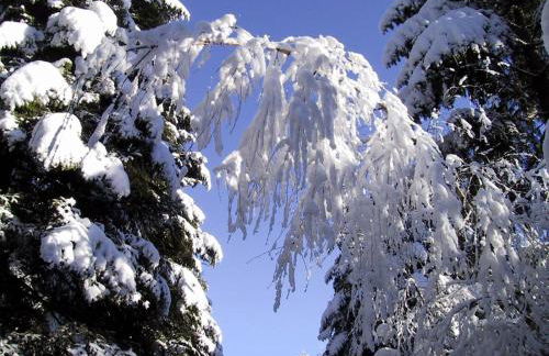 Ferienwohnung Kuckuck auf dem Sommerberg incl Schwarzwald Plus-Karte - 2 Zimmer 50qm - Foto 57