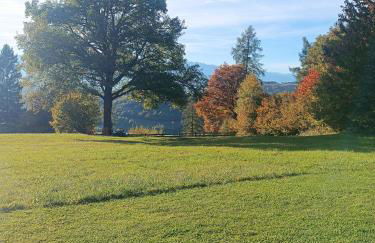 Baita dei Fovi - Foto 30