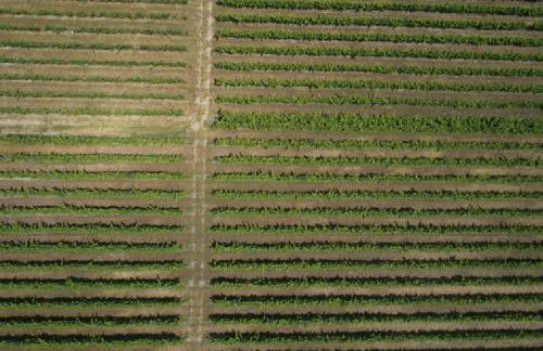 Quinta da Fogueira - Foto 8