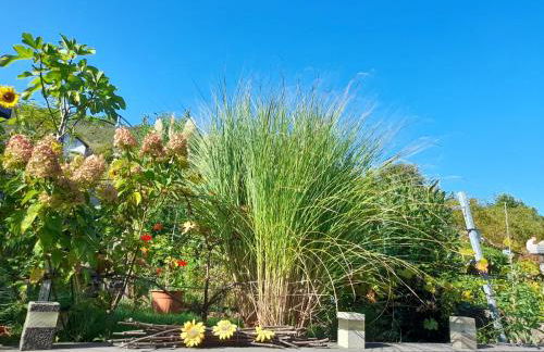 Ferienhaus Heimes - Foto 31