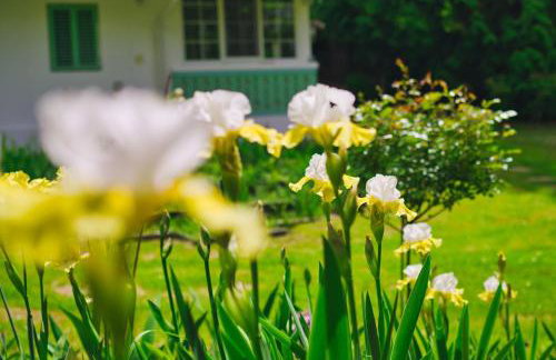 Casa "Dolina Kraljevac" - Foto 34