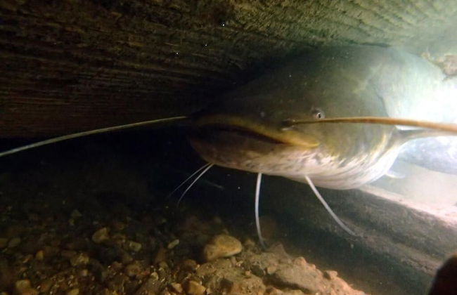 Agroturystyka u przyjaciol Soni - Foto 26