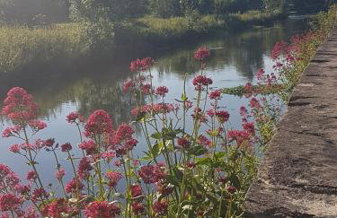 Tudor Cottage - Foto 30