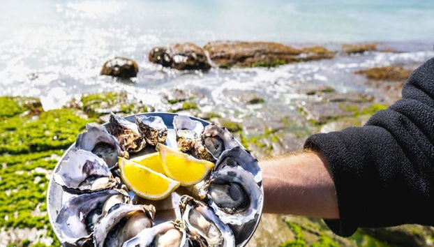Bruny Island Safari - Food, Sightseeing and lighthouse Tour - Photo 5