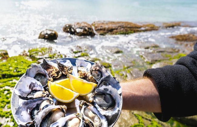 Bruny Island Safari - Food, Sightseeing and lighthouse Tour - Photo 5