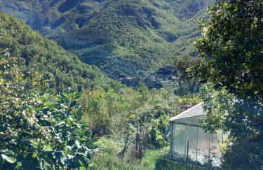 Casa Emma - Photo 16