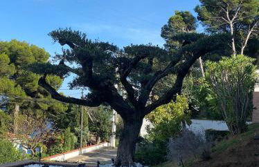 Casa Tanio 150m walking from the village and town of Tamariu - Foto 41