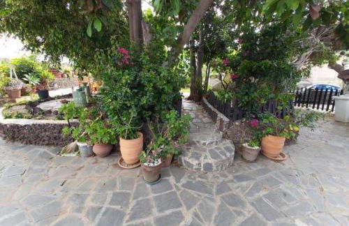 Rural House in the North of Tenerife - Foto 14