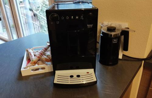 Nichtraucherferienwohnung-Neckarblick ZE-2022-74-WZ-118A - Foto 16