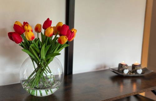 Bilocale baciato dal sole - Foto 41