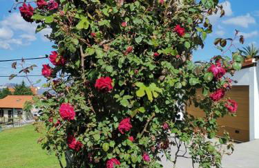 Casa Raquel - Foto 17