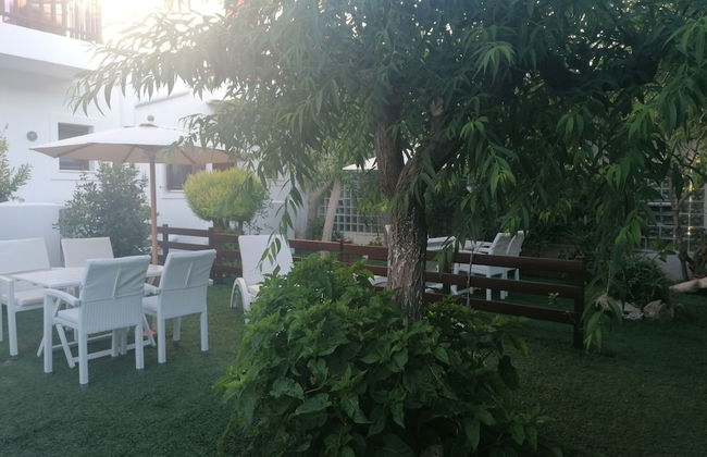 Maestralia - Foto 65