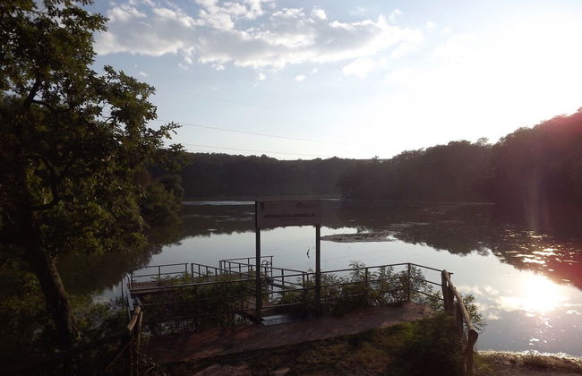 Tenuta i Lecci di Gurian Roberta Maura - Photo 72