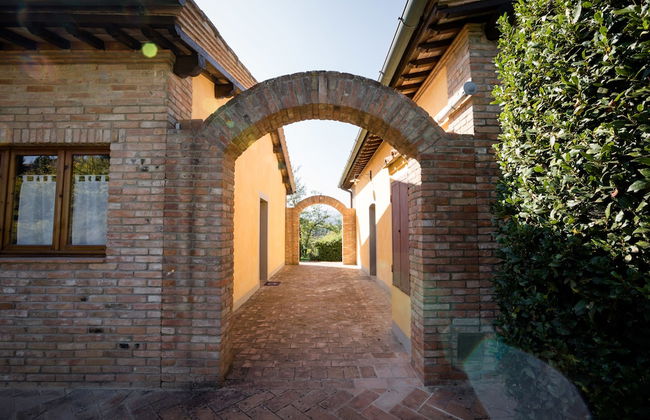 Fattoria Sant'Andrea - Photo 16