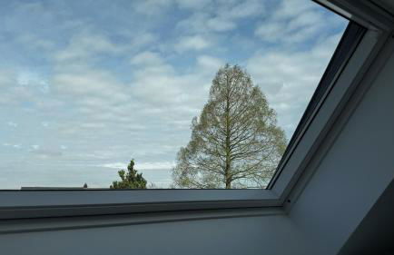 City-Apartment in bester Lage - Foto 11