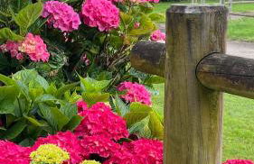 Gîtes de charme "l'écrin de Vendée" jacuzzi privatif, piscine chauffée, prestations bien être, vélos à 10 mn de l'océan sur 3,5 h de verdure - Photo 61