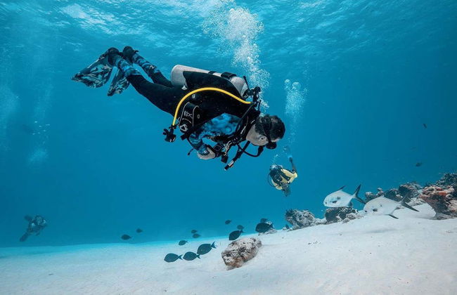 Scuba Diving in Cozumel - Photo 4