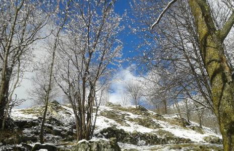 Ca l'ESTRELLA - Foto 40