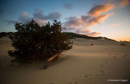 Residence L'Isola Surf House - Photo 85