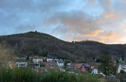 Ferienhaus mit Trifelsblick - Foto 34