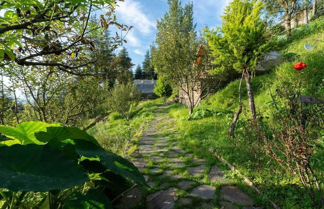 Nirvana Dhar Nature Resort - Foto 17