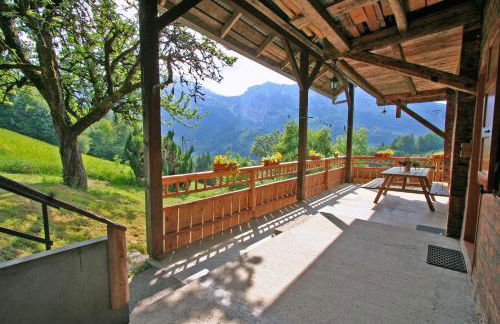 Les Jonquilles - Foto 8