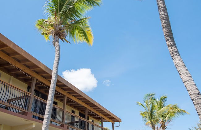 Bayview Vacation Apartments - Foto 37