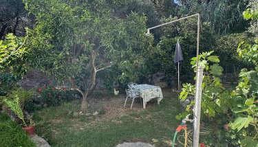 Mata's House - Foto 2, Garden