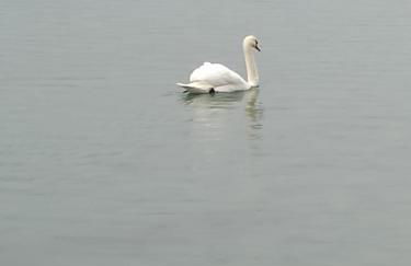 Holiday house - Leo & Malù - Foto 33