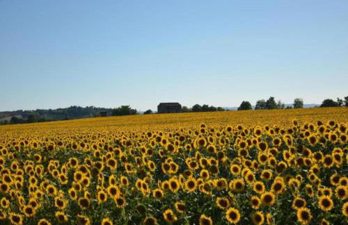 Rustic Charm, Modern Comfort - Foto 65