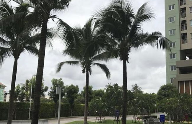 Lumpini Wongamat Suites - Foto 41