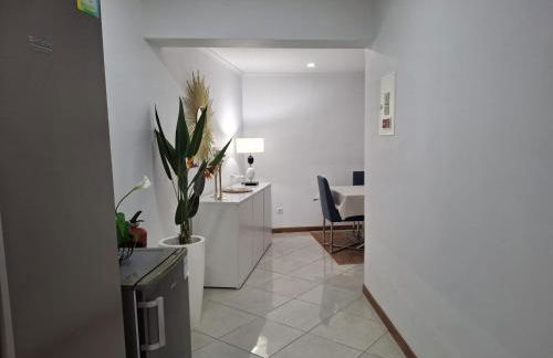 Casa da Boa Vista - Photo 16