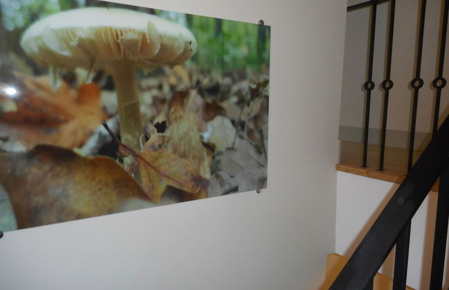 Keten Suites Taksim - Foto 68