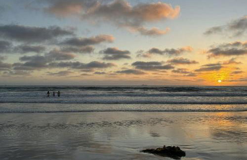 Walk to Torrey Pines Beach! Beachwalk Bungalow - Photo 26