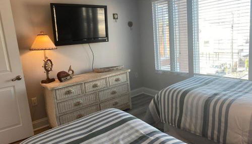 THE Opal S302 - Photo 4