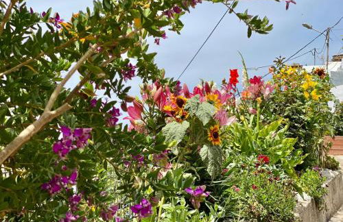 Juncalillo House - Foto 38