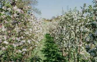 4 Sterne Ferienwohnung Hochries - Foto 15