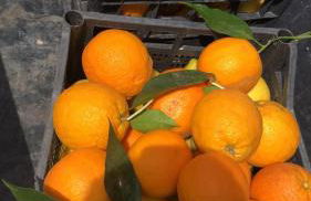 Casa Lina - RELAX TRA SIRACUSA E PANTALICA - PARCHEGGIO GRATUITO - Foto 11