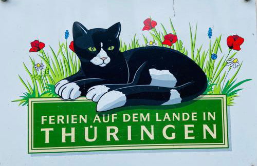 Ferienhof Alte Wildmeisterei - Fewo Gartenblick - Foto 21