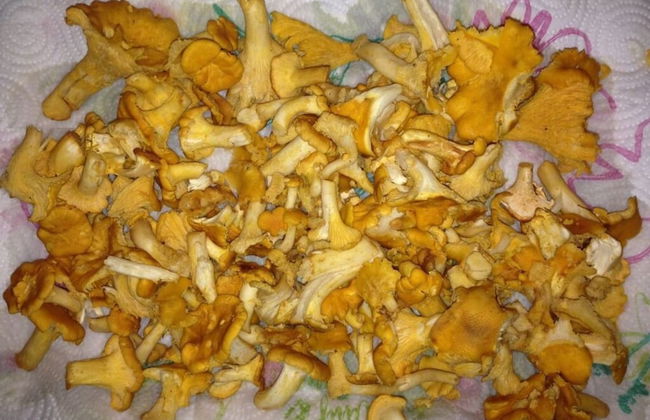 Holiday Home Hus Lammen Right on the Lake - Foto 17