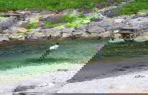 Apartments BBI - Photo 30