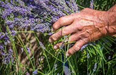 Apartman Iskra 2 - Foto 77