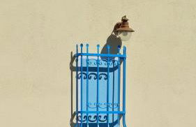 Country villa Sant' Elène- Appartamento Mirto - Foto 12