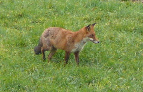 The Motor House - Foto 27