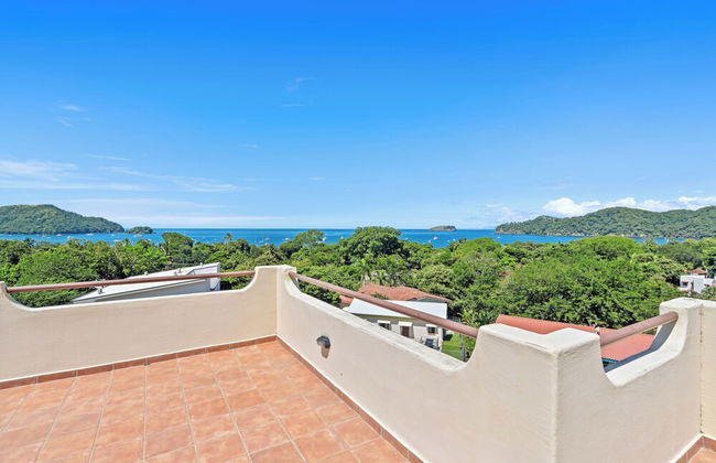 Tropical Gardens - Foto 65