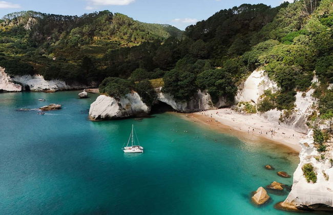 Coromandel Boat Charter with Skipper - Photo 6