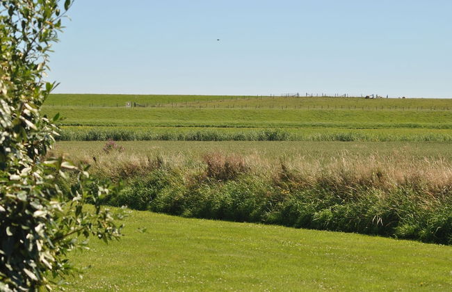 Charming Holiday Home in Texel - Photo 12