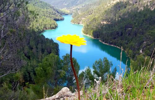 Alojamiento Rural Casa Inocente - Foto 41