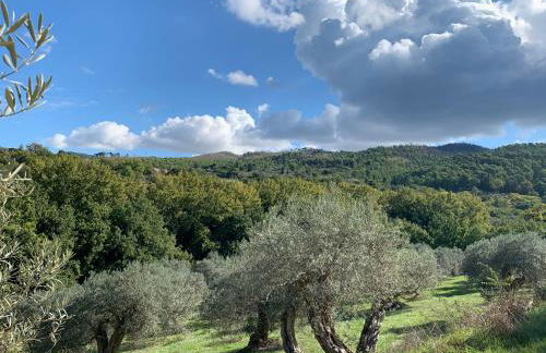 Villa Santa Margherita - Foto 30